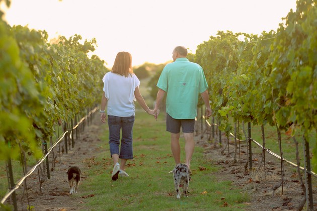 Lucky Vines Vineyard And Winery Content Page